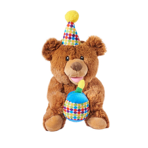 Happy Birthday Bear Plush, plush gift, plush, teddy bear gift, teddy bear, birthday gift, birthday