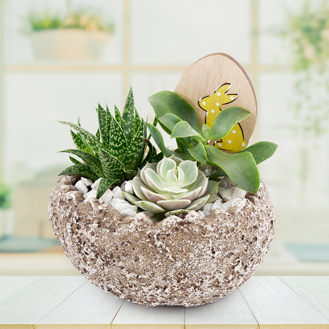 Easter Egg rock succulent arrangement. US and Canada Delivery