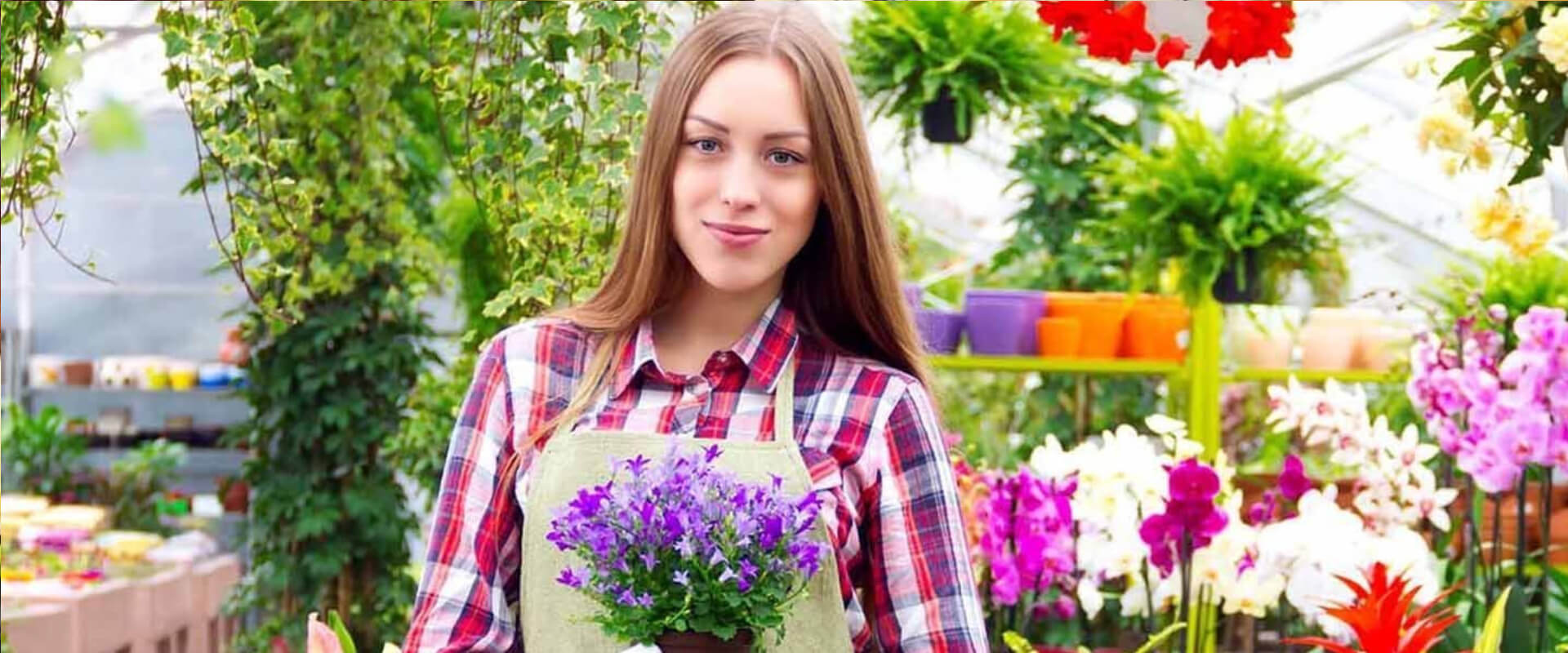 Potted Plants Gifts