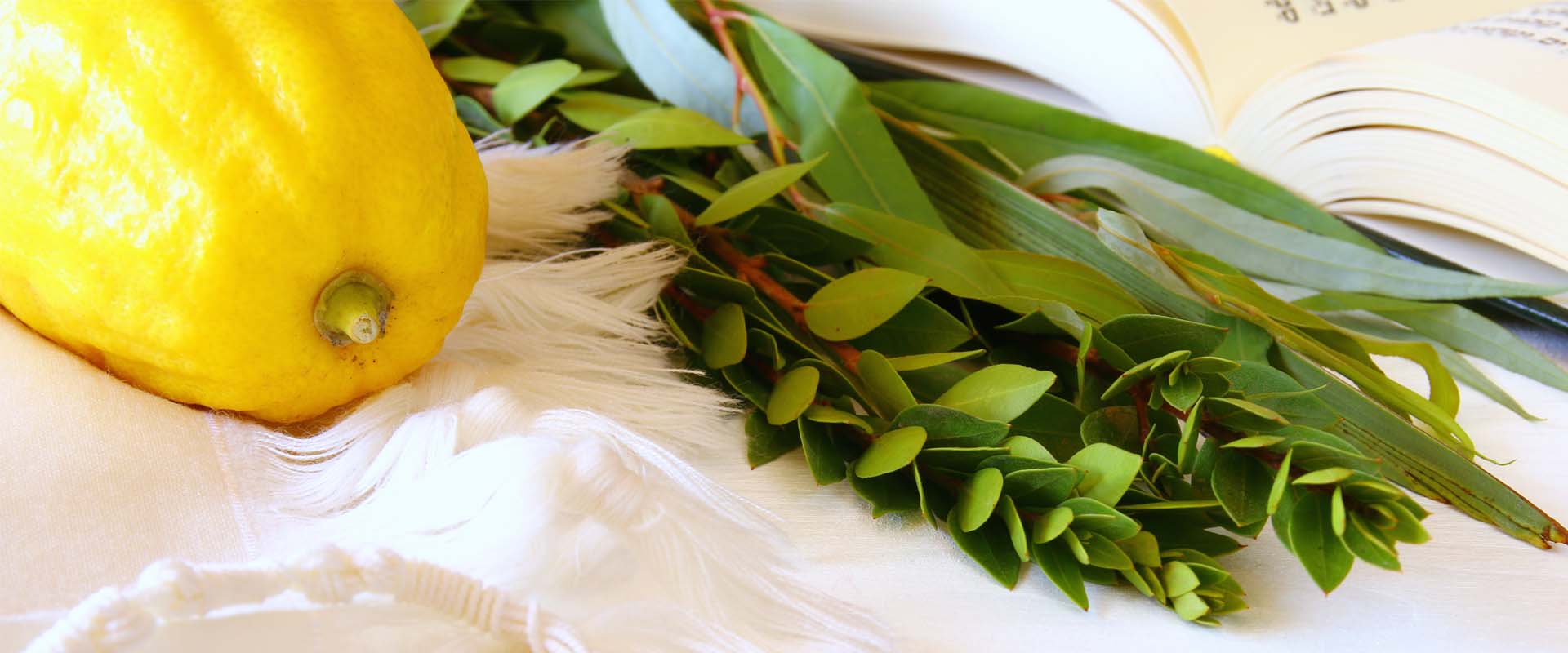 Sukkot Gift Baskets