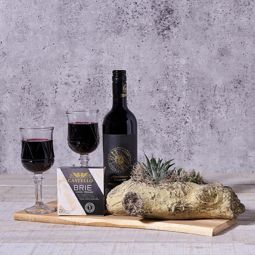 The Garden Log Succulent Wine Gift Set, wine gift, wine, succulent gift, succulent, plant gift, plant, gourmet gift, gourmet