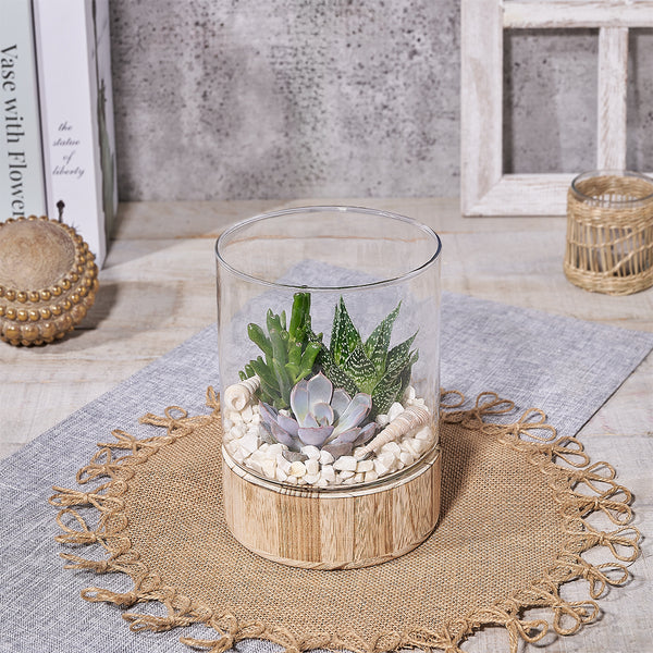 Succulent Glass Planter, plant gift, plant, succulent gift, succulent, Canada delivery