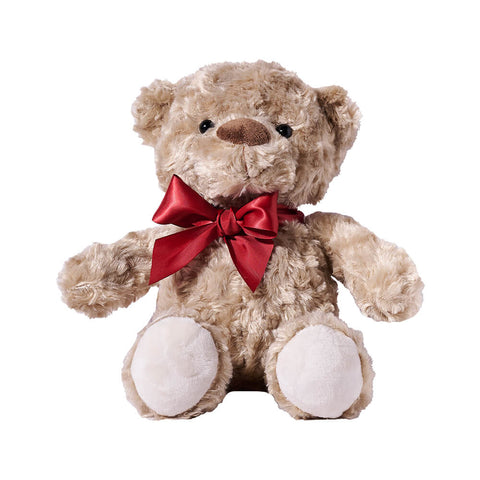 The Canada Day Teddy Bear, canada day gift, canada day, plush bear gift, plush bear, teddy bear gift, teddy bear