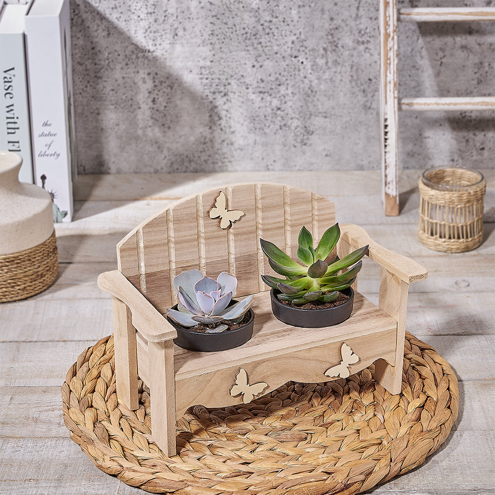 Mini Succulent Bench Planter, plant gift, plant, succulent gift, succulent, Canada delivery