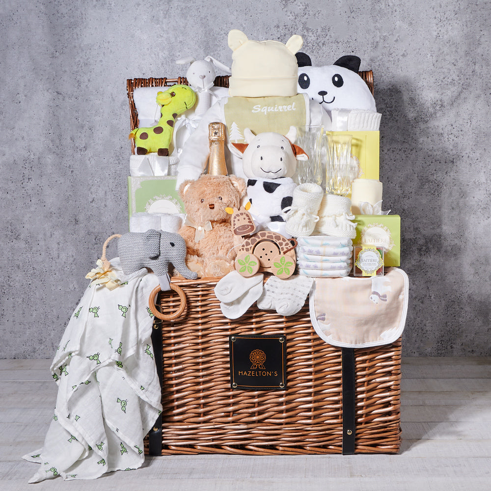 Baby’s First Snuggles Gift Basket