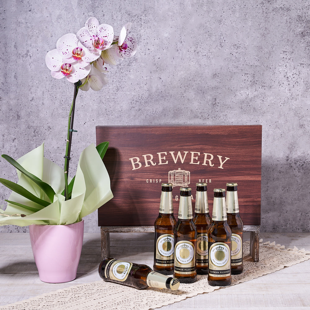 Orchid Bloom &amp; Beer Pairing Set, plant gift, beer gift, beer, orchid gift