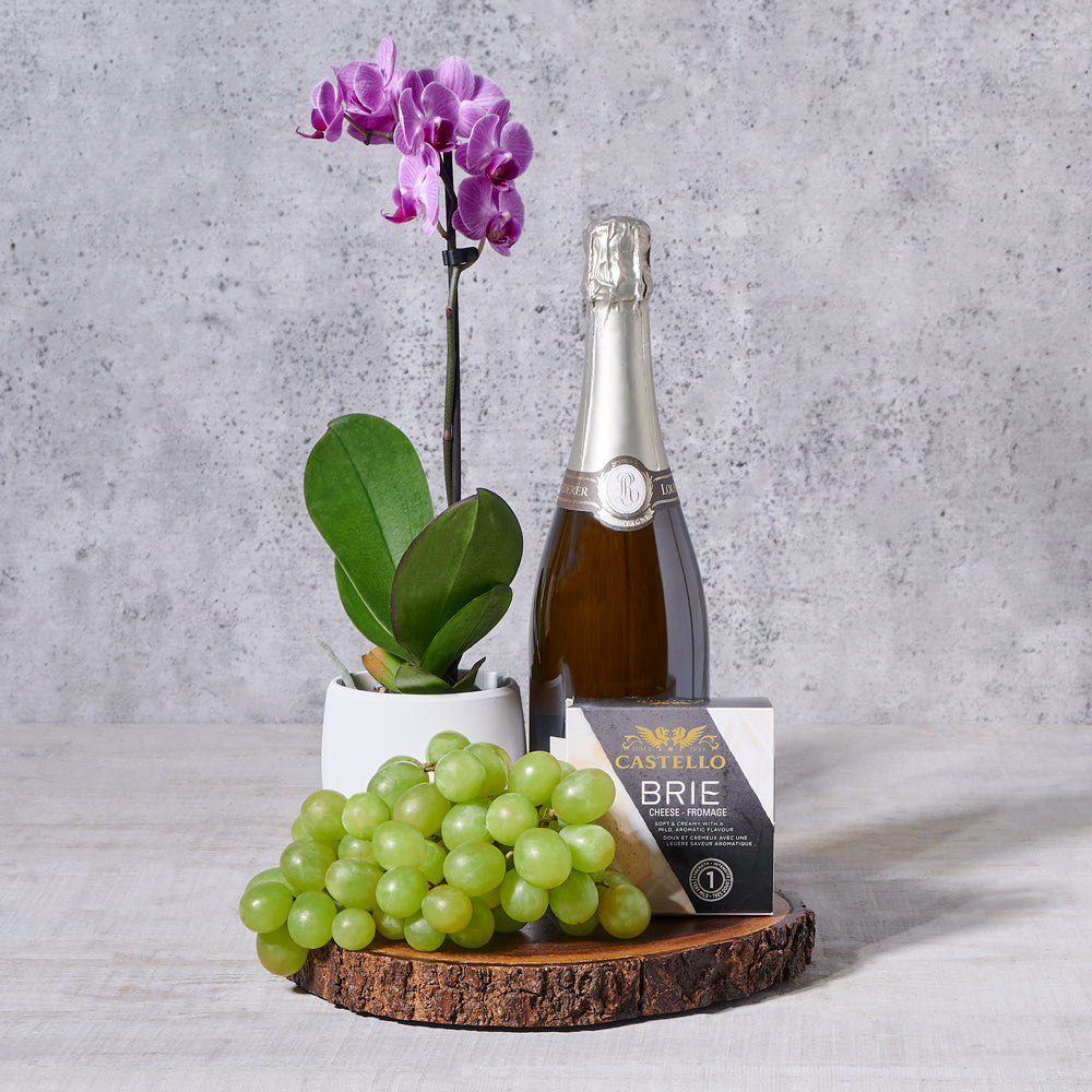 Champagne Garden Delight Gift Board, sparkling wine, sparkling wine gift, champagne gift, champagne, orchid gift, orchid, fruit gift, fruit, plant gift, plant