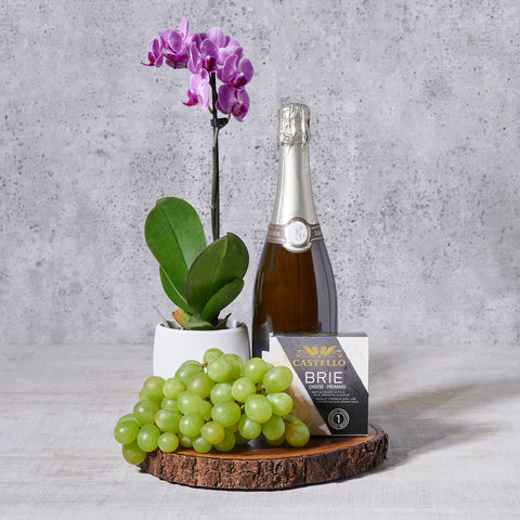 Tropical Paradise Champagne Gift Basket, sparkling wine, sparkling wine gift, champagne gift, champagne, orchid gift, orchid, fruit gift, fruit, plant gift, plant