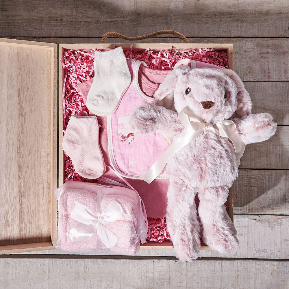 Baby Girl Starter Crate, baby gift basket, baby gift, baby, baby shower gift, baby shower, baby girl gift, baby girl