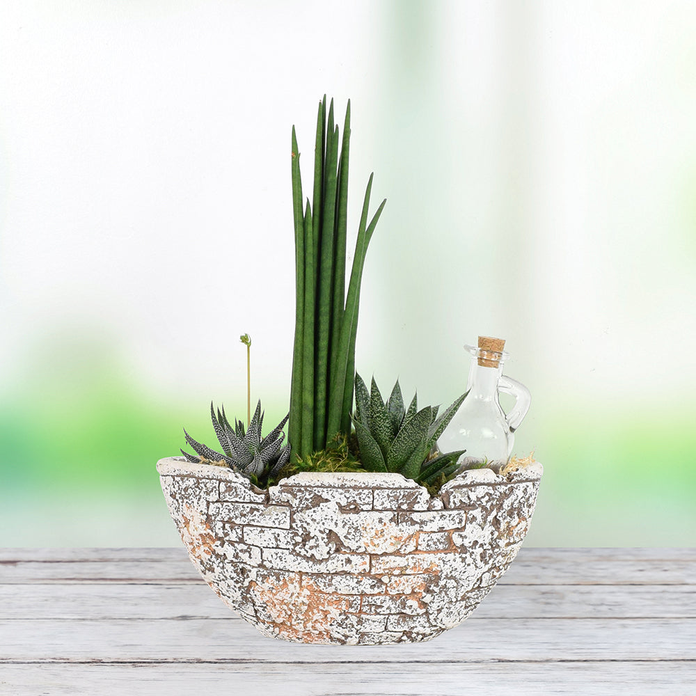 Potted Succulent Garden