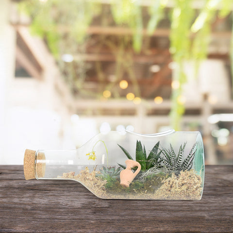 A fun floral gift that’s sure to delight any recipient, the Succulent Garden in a Bottle from Hazelton’s Canada