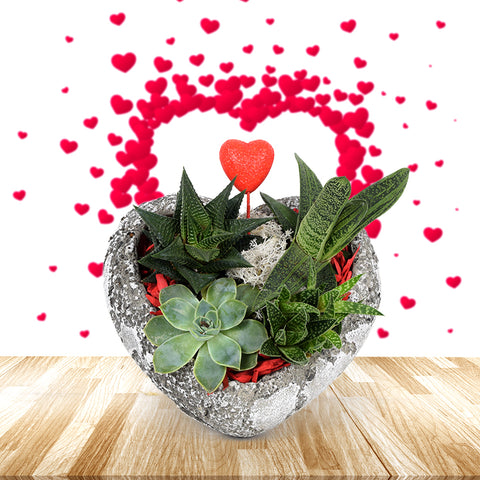 Heart to Heart Succulent Rock Garden