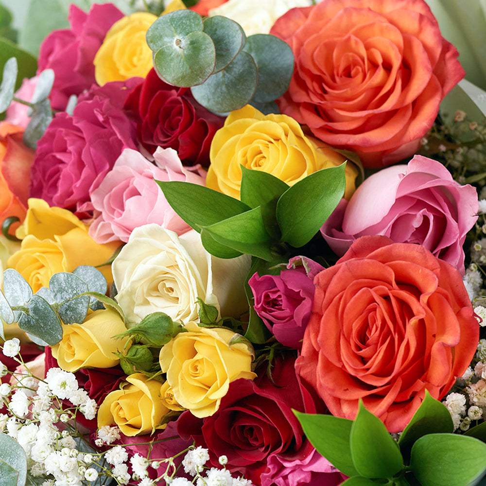 Mixed rose bouquet in red, yellow, and orange. Canada Delivery