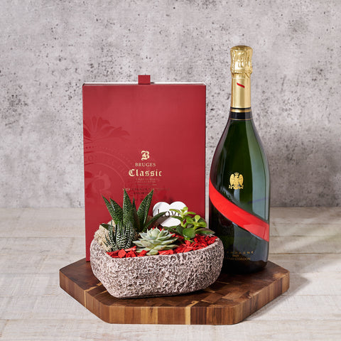 Valentine’s Day Champagne & Planter, Valentine's Day gifts, sparkling wine gifts, plants gifts