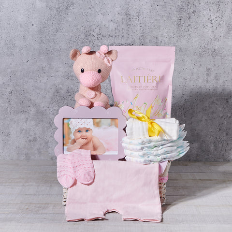 Complete Baby Girl Gift Basket, baby gift, baby, baby girl gift, baby girl, baby shower gift, baby shower