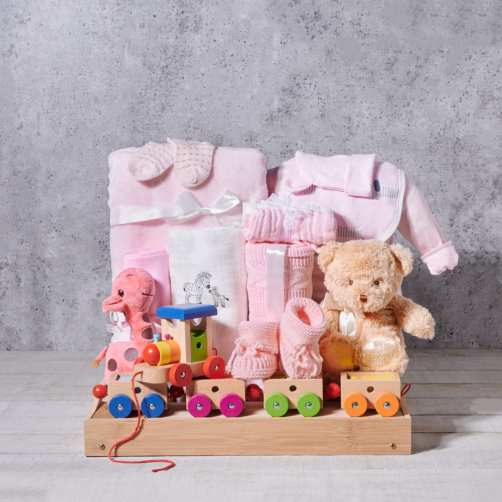 Toys & Blankets for Baby Girls Gift, baby gift, baby, baby girl gift, baby girl, baby shower gift, baby shower