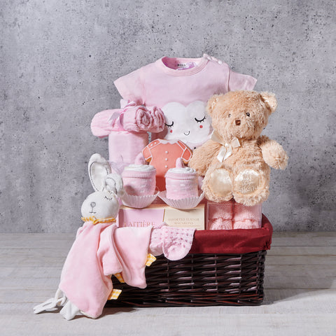 Entertaining Baby Girl Gift Basket, baby gift, baby, baby girl gift, baby girl, baby shower gift, baby shower