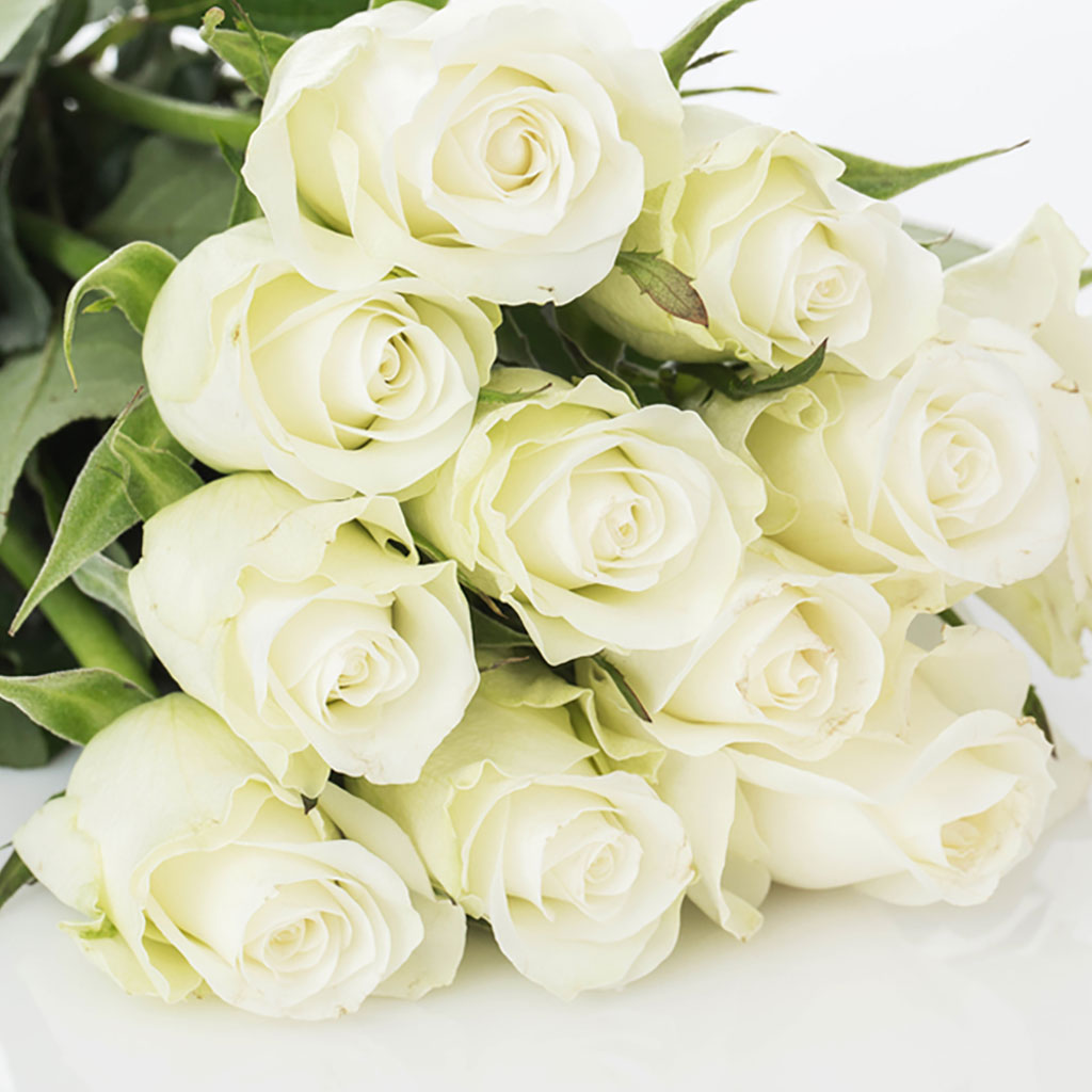 White ROSE BOUQUET