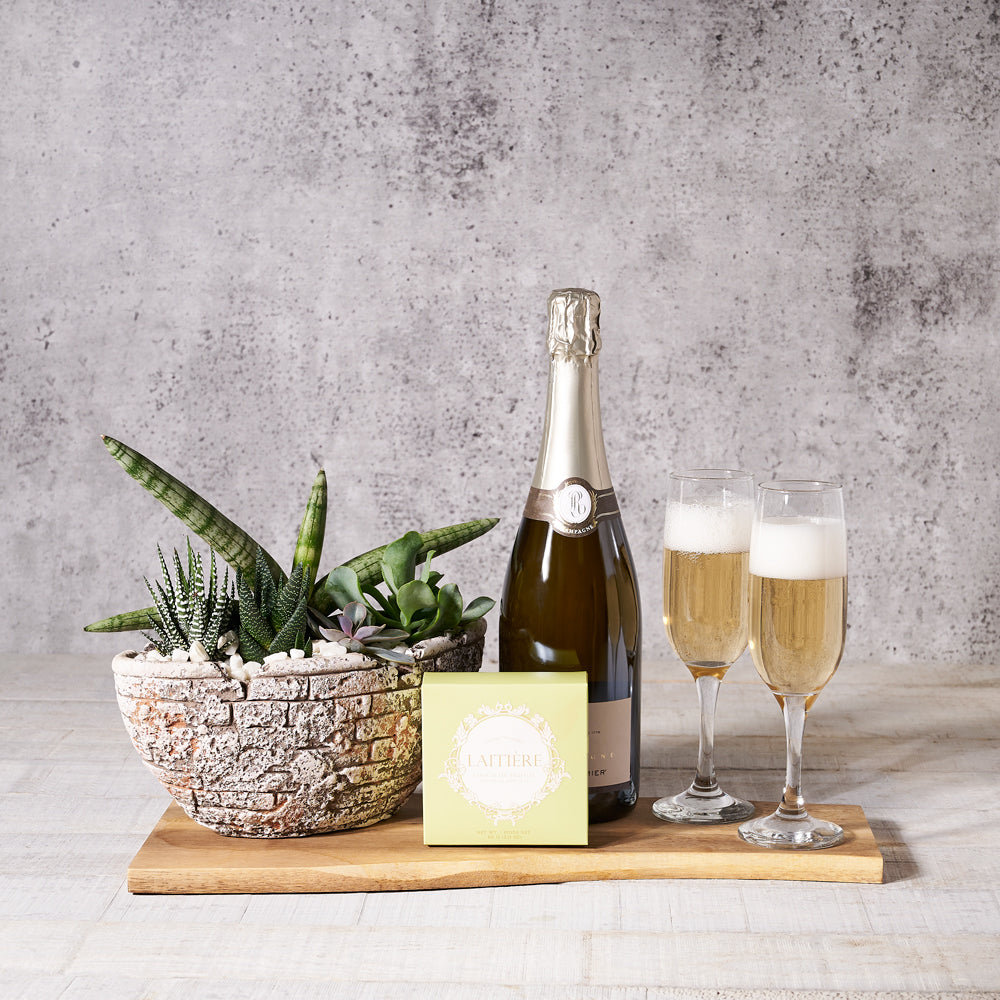 The Botanical Champagne Gift Board, Champagne Gift Baskets, Succulent Gift Baskets, Succulents, Champagne, Chocolate Truffles, Canada Delivery
